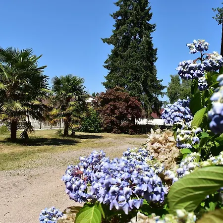 Calme Et Paisible En Foret, Ideal Pour Famille Et Amis * Parigné-lʼÉvêque