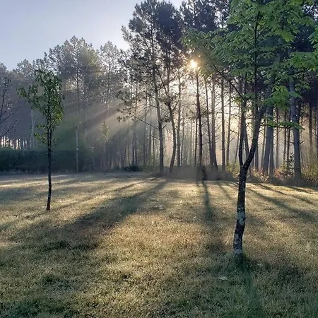 Calme Et Paisible En Forêt, Idéal Pour Famille Et Amis - Fr-1-410-486