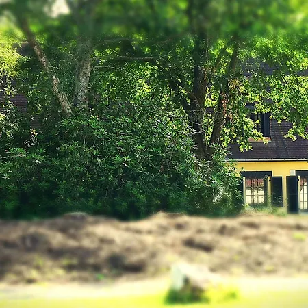 Calme Et Paisible En Foret, Ideal Pour Famille Et Amis *