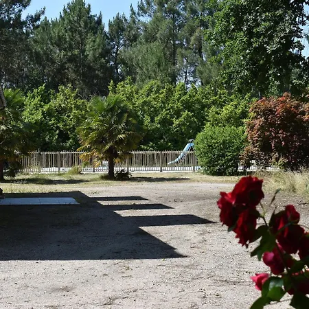 Calme Et Paisible En Forêt, Idéal Pour Famille Et Amis - Fr-1-410-486